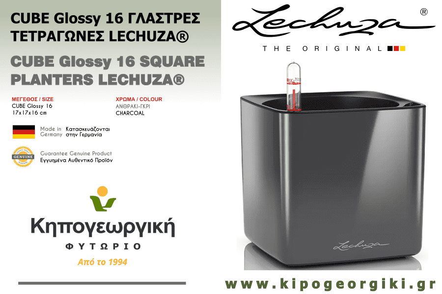 CUBE Glossy 16 Charcoal LECHUZA Self-Watering Planters